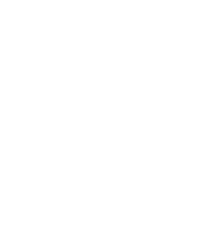 Logo Teds